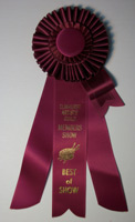 Best-ribbon
